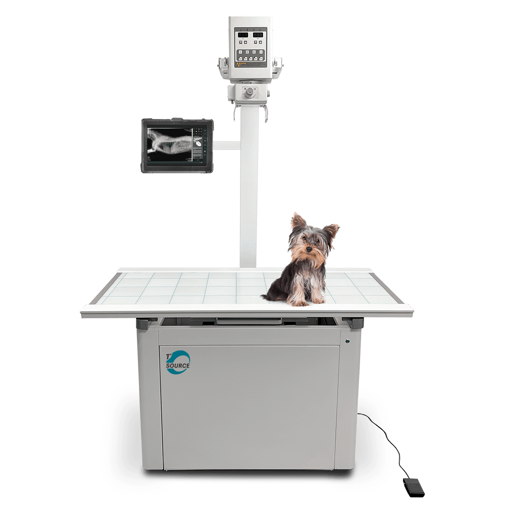 Veterinary X-ray Table